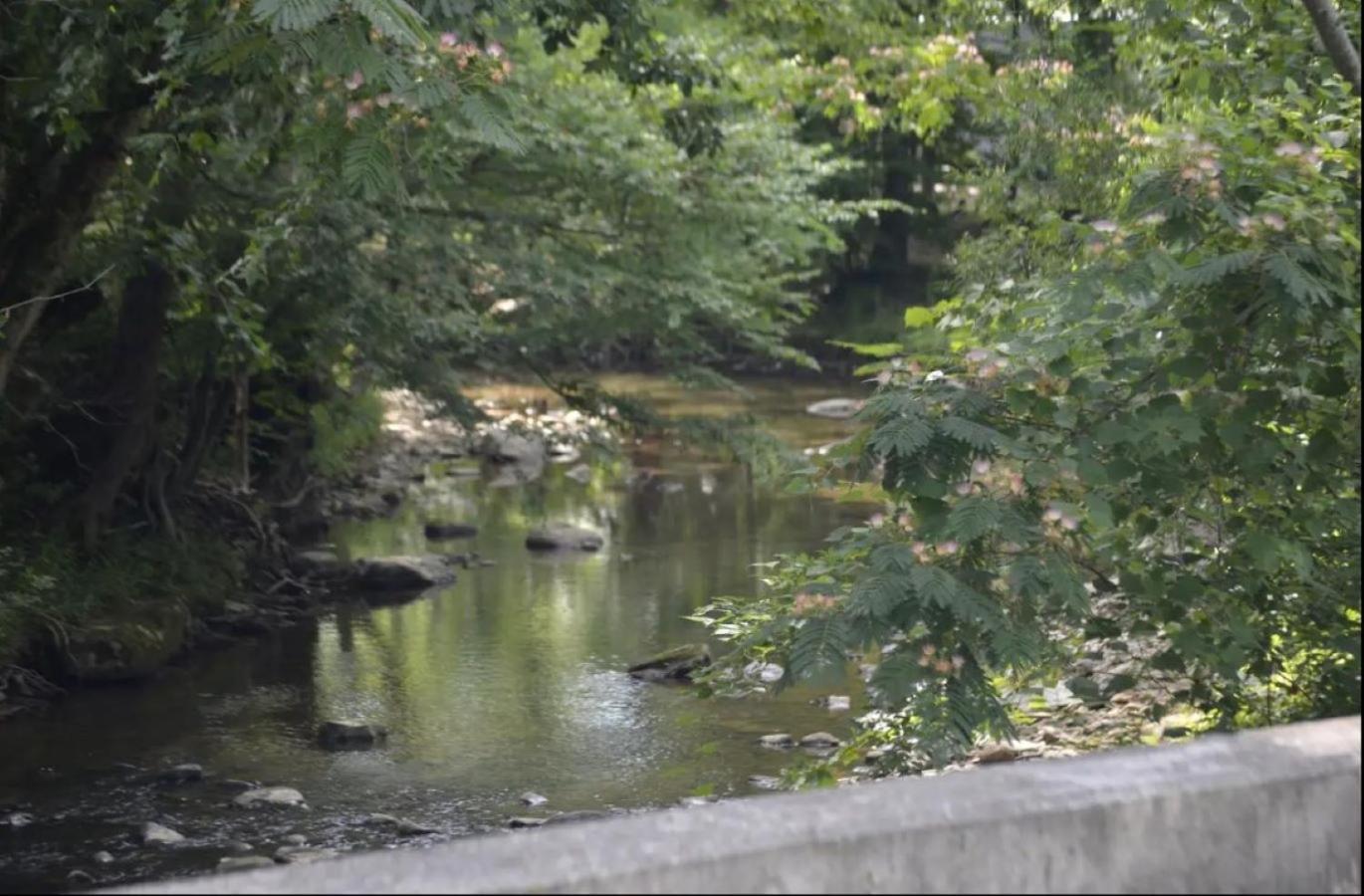 Creekside Cottage*Hot Tub*Entire Home-Pigeon Forge Εξωτερικό φωτογραφία